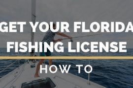 Fishing License in Florida for Residents over 65: What You Need to Know