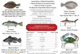 Obtain Your NJ Fishing License