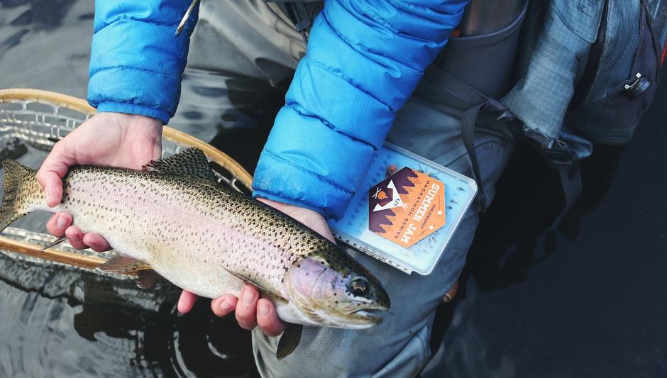 Fishing License in Missouri: Where and How to Apply