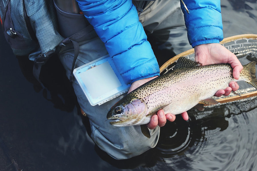 Fishing License in Winnipeg: Where to Apply