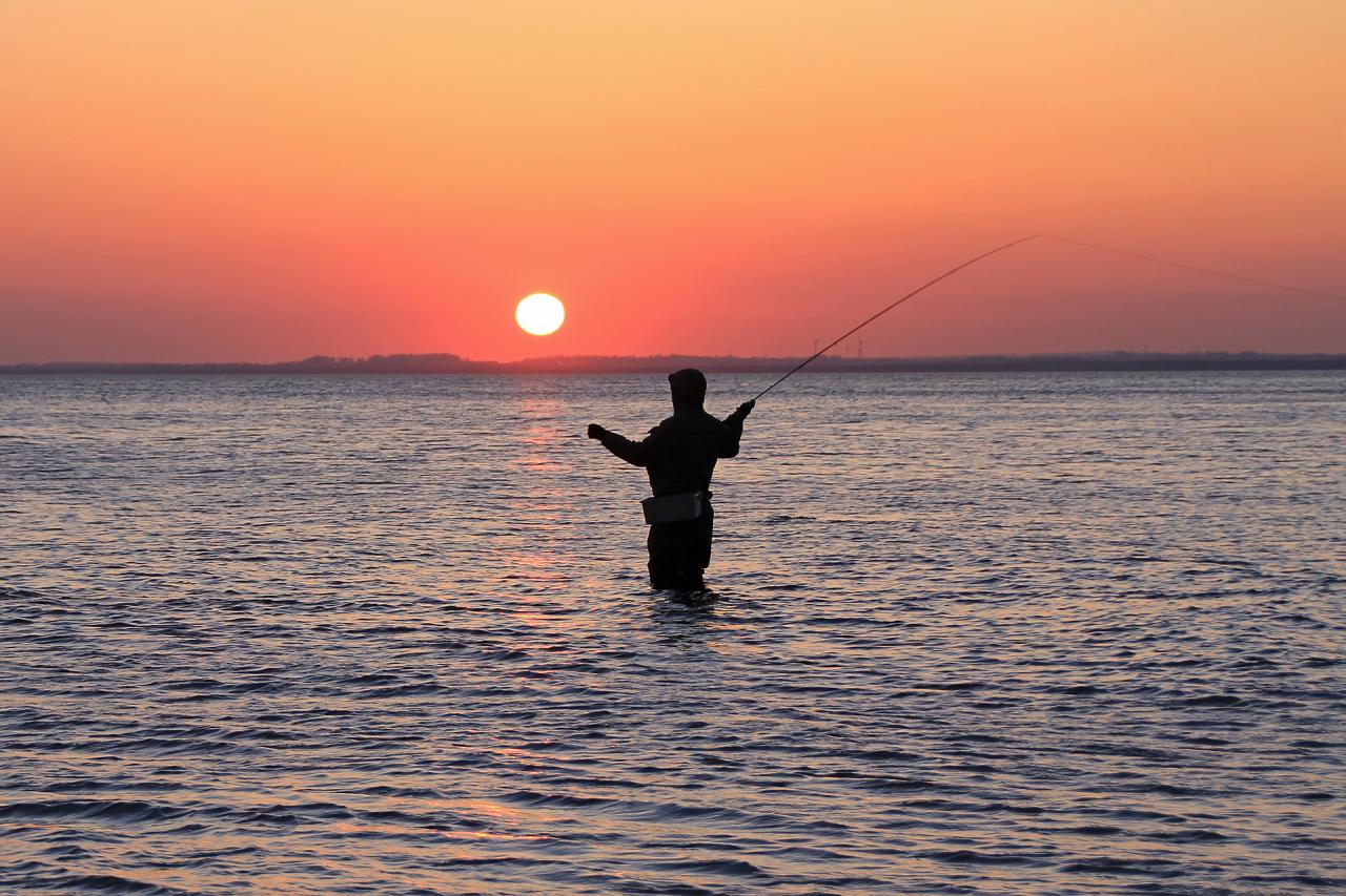 Renew Your CT Fishing License in 2026: Complete Step-by-Step Guide