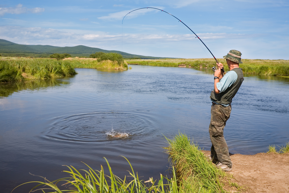 Arizona Fishing: License Requirements and Tips
