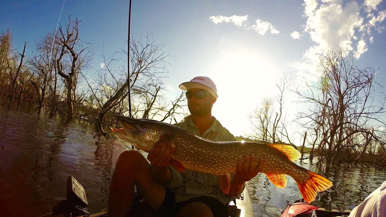 How Much Is a Nebraska Fishing License? 2025 Prices + Hidden Costs Revealed