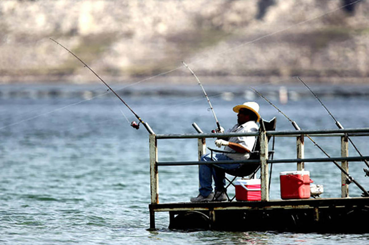Nevada Fishing License Fees 2024